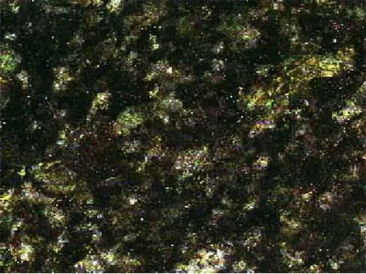 Labrador Gold granite polished sample – Marmi di Carrara – black, charcoal (1)