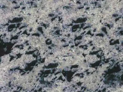 Lake Placid Blue granite