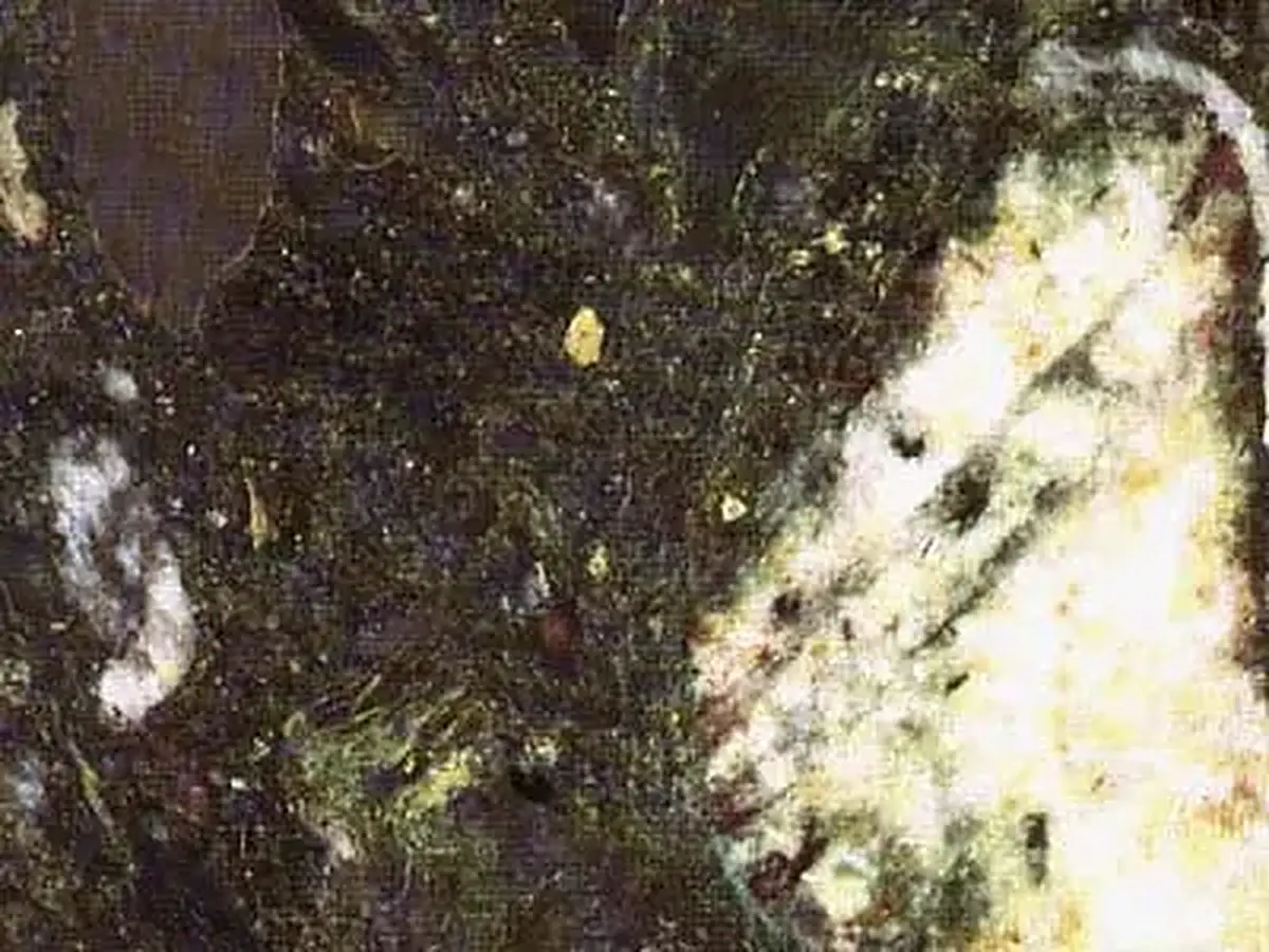 Laksefjord piedra natural, muestra pulida – Marmi di Carrara – antracita, marfil (1)
