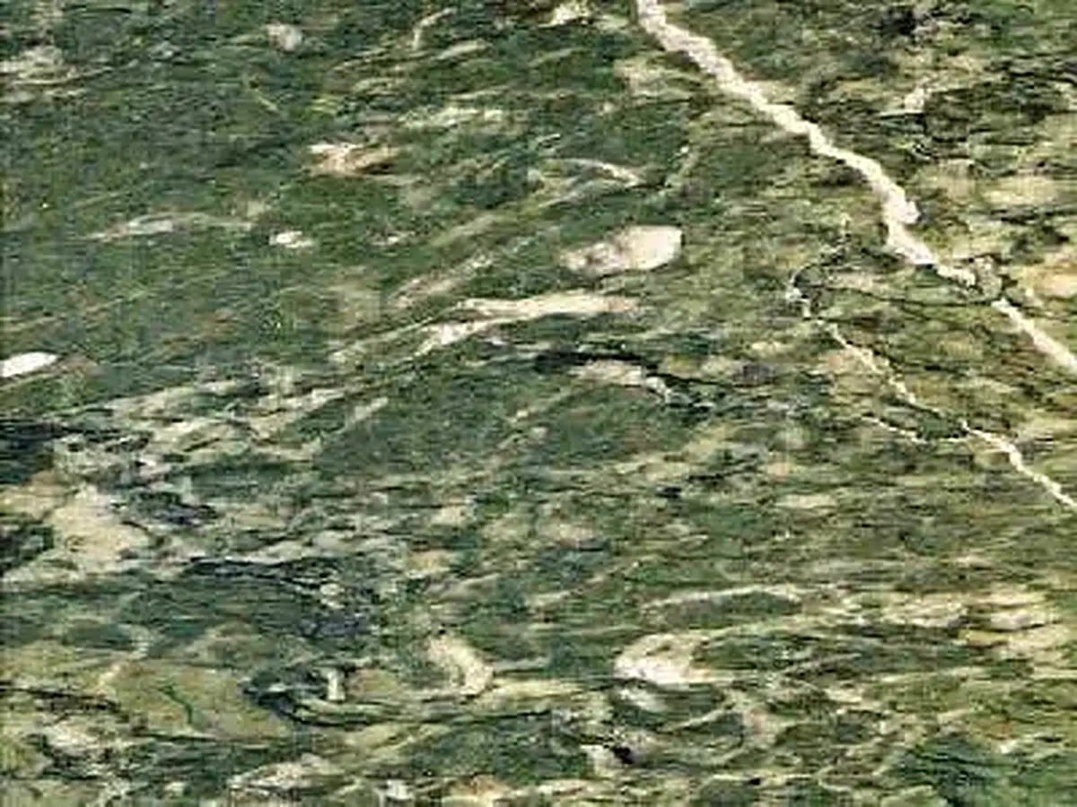 Lapponia Green marble polished sample – Marmi di Carrara – green, charcoal (1)