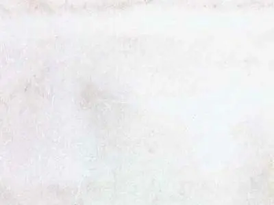 Lasa Bianco Vena d´Oro marble polished sample – Marmi di Carrara – white (1)
