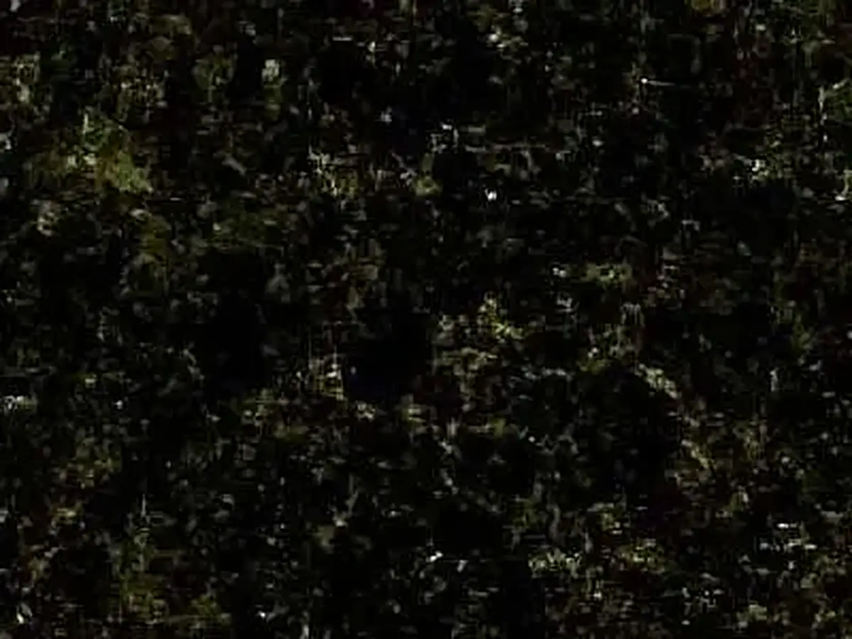 Laurentian Green granito, muestra pulida – Marmi di Carrara – negro (1)