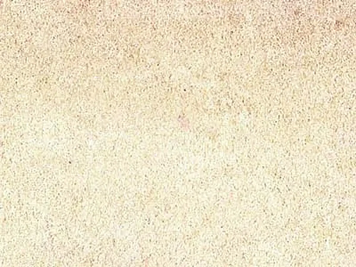 Lemunda grès, échantillon poli – Marmi di Carrara – ivoire, blanc (1)