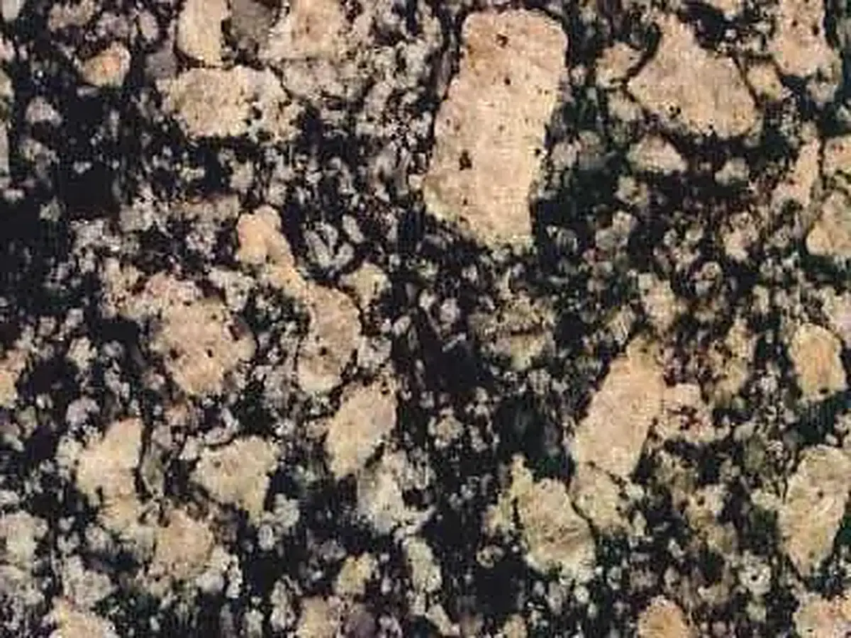 Leopard granite polished sample – Marmi di Carrara – charcoal, beige (1)