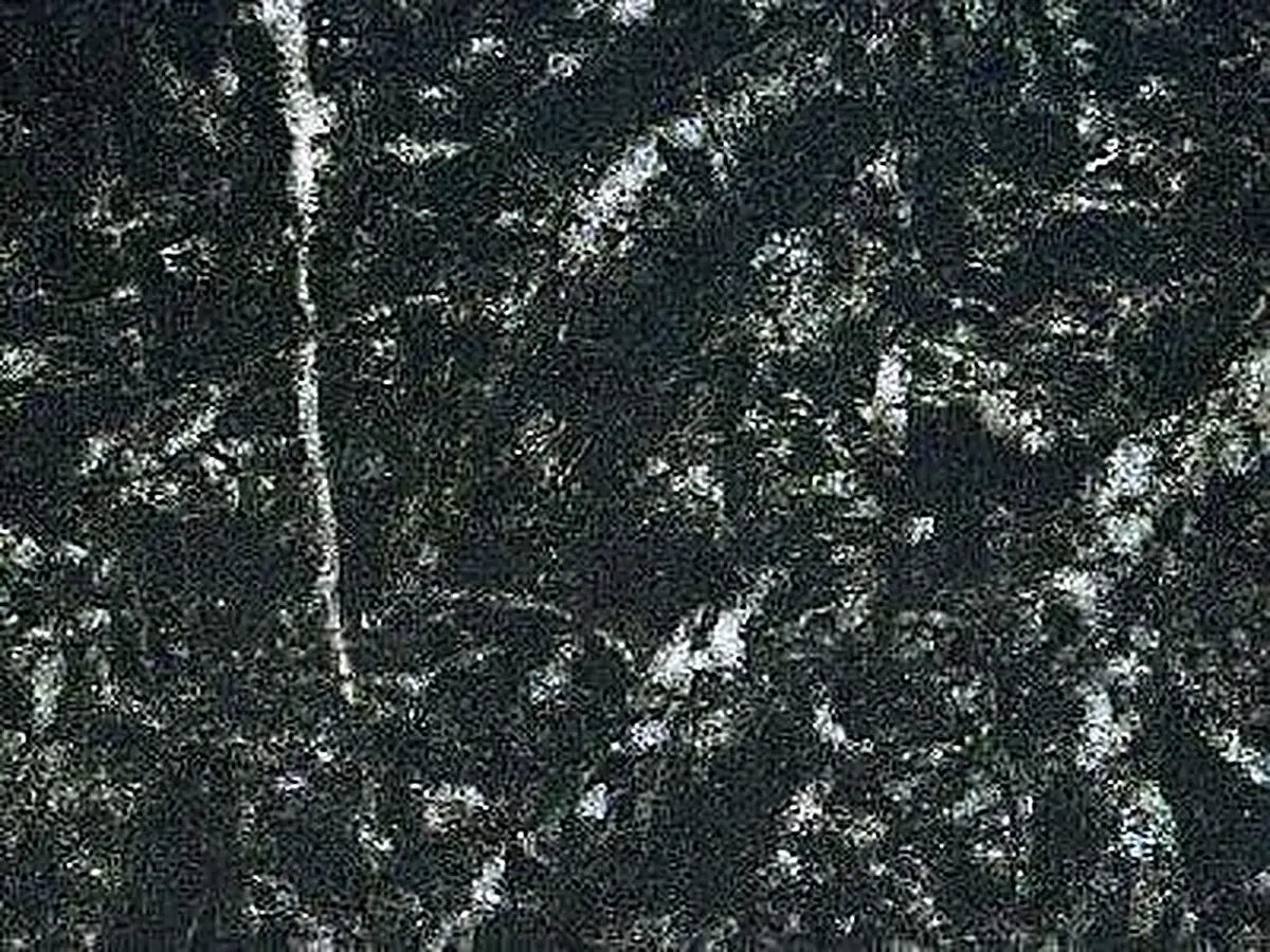 Levadia Black limestone polished sample – Marmi di Carrara – black, charcoal (1)