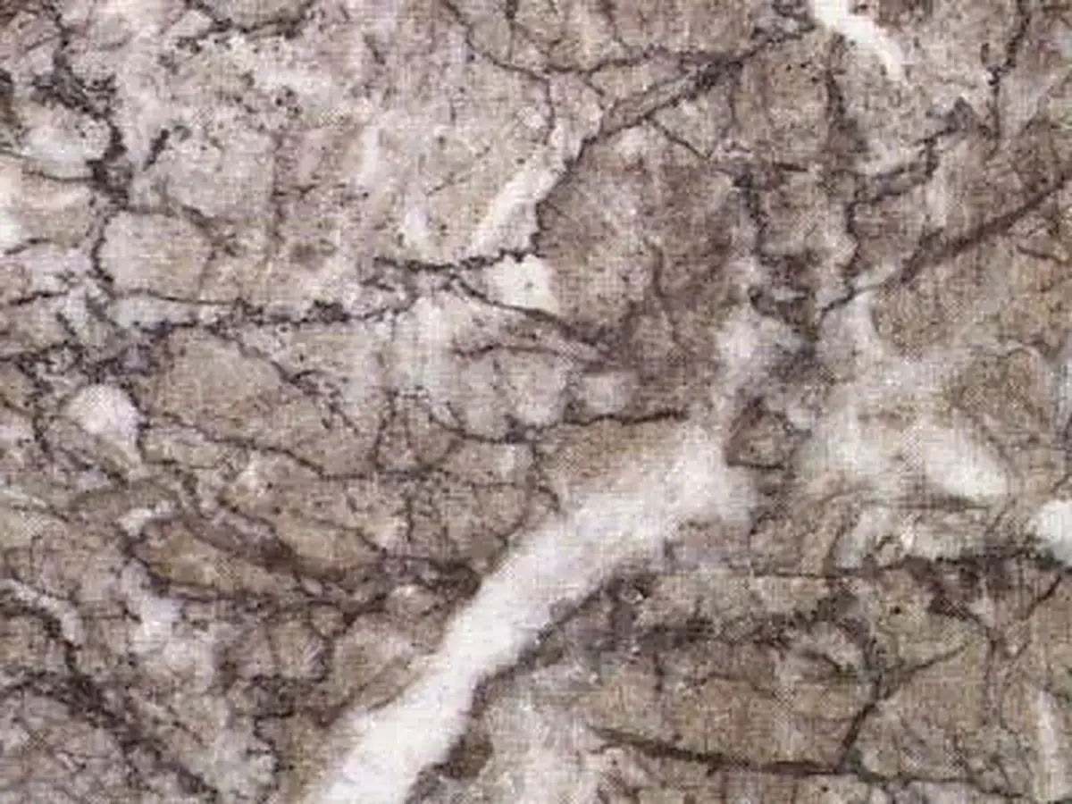 Lido limestone polished sample – Marmi di Carrara – grey, light grey (1)