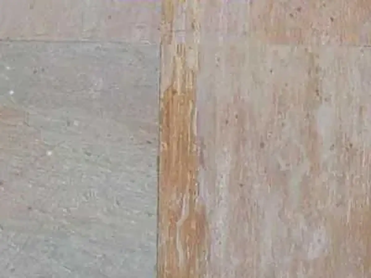 Lime Pink calcare, campione lucido – Marmi di Carrara – beige, grigio chiaro (1)