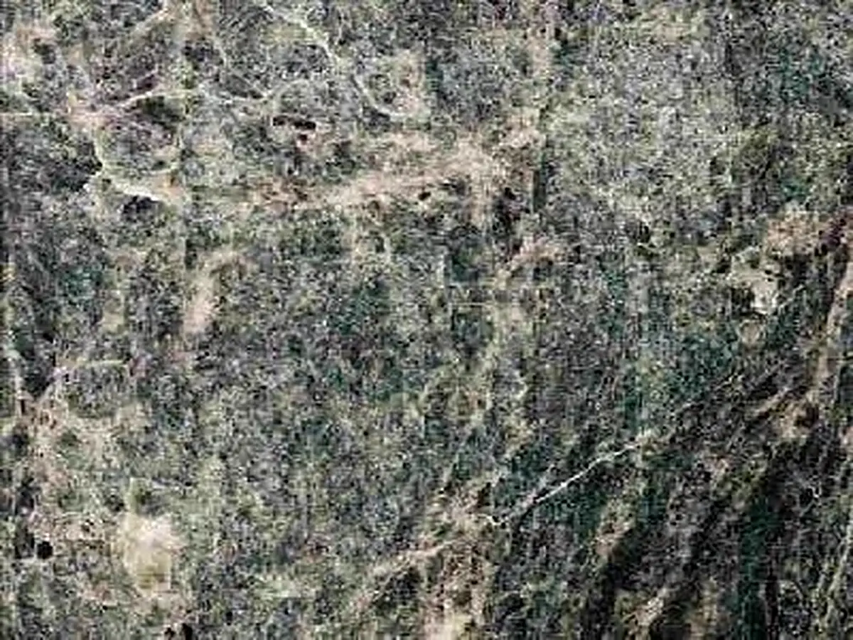Lipasvaaran Vihreä serpentinite polished sample – Marmi di Carrara – grey, green (1)