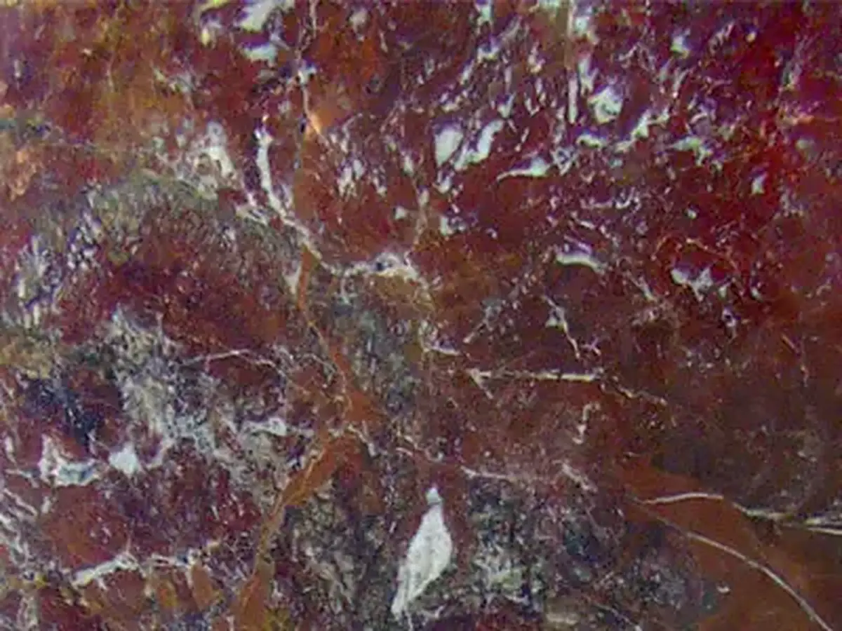 Luz del Fuego granito, muestra pulida – Marmi di Carrara – marrón, gris (1)
