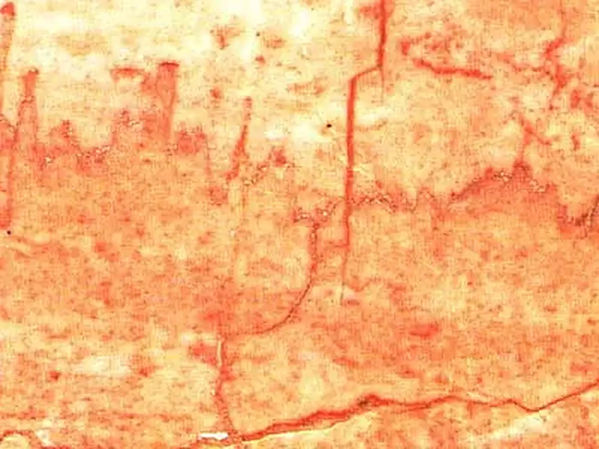 M 063 limestone polished sample – Marmi di Carrara – beige, pink (1)