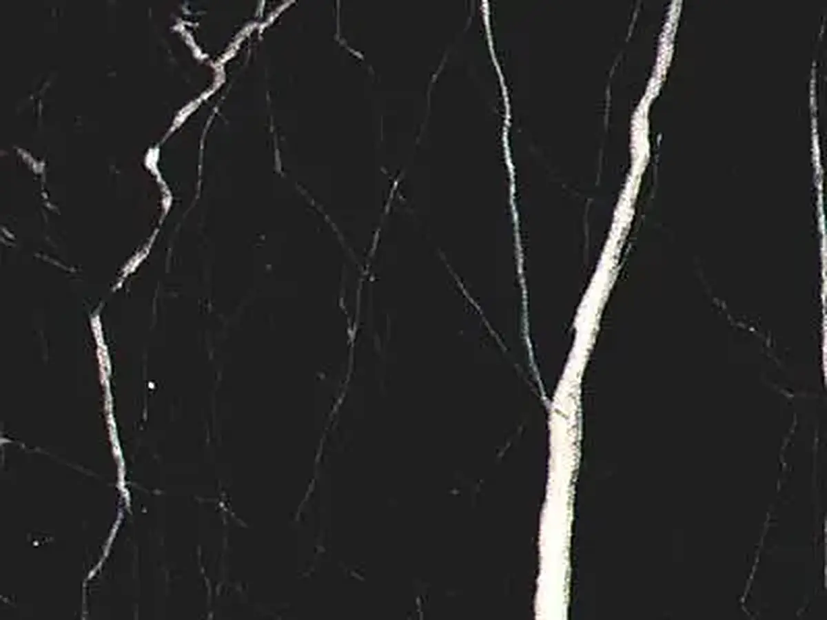 M 4296 a limestone polished sample – Marmi di Carrara – black, charcoal (1)