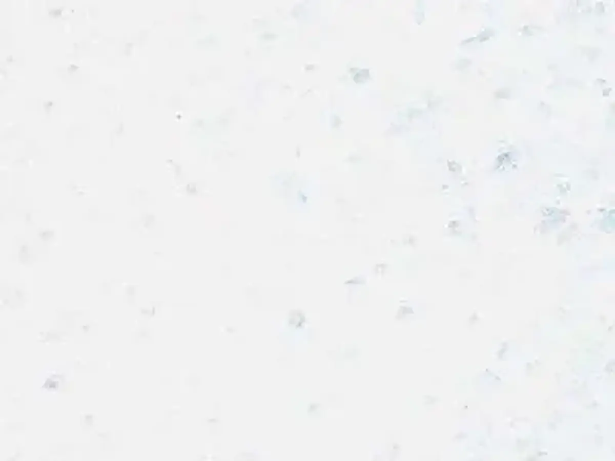 M 6101 marmo, campione lucido – Marmi di Carrara – bianco (1)