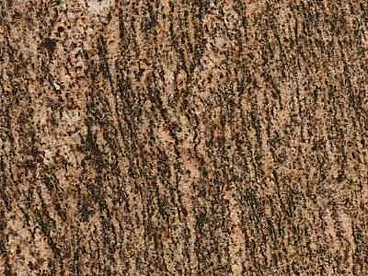 Macarena Gold granit, échantillon poli – Marmi di Carrara – brun, gris (1)