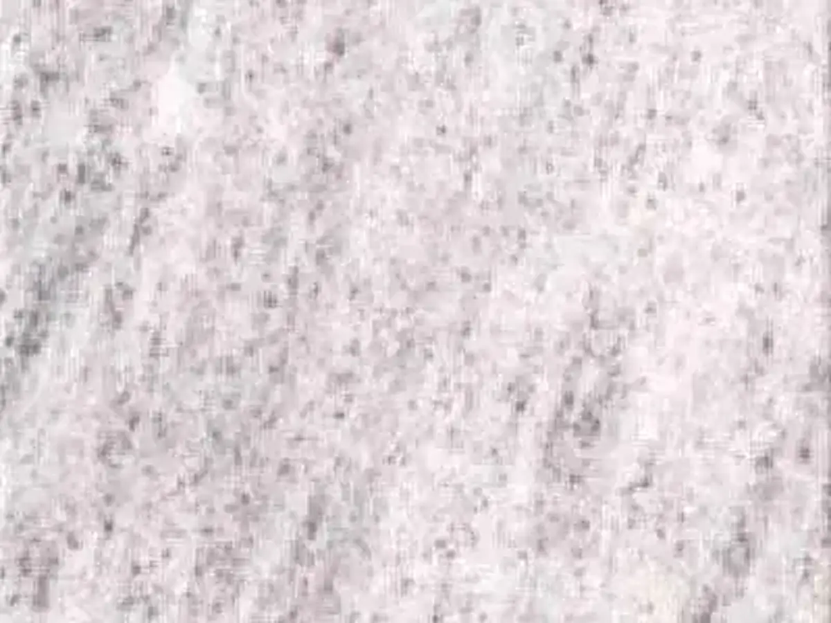 Madanapally White granito, muestra pulida – Marmi di Carrara – marfil, blanco (1)