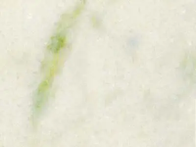 Marmore Branco Pinta Verde mármol, muestra pulida – Marmi di Carrara – marfil, blanco (1)