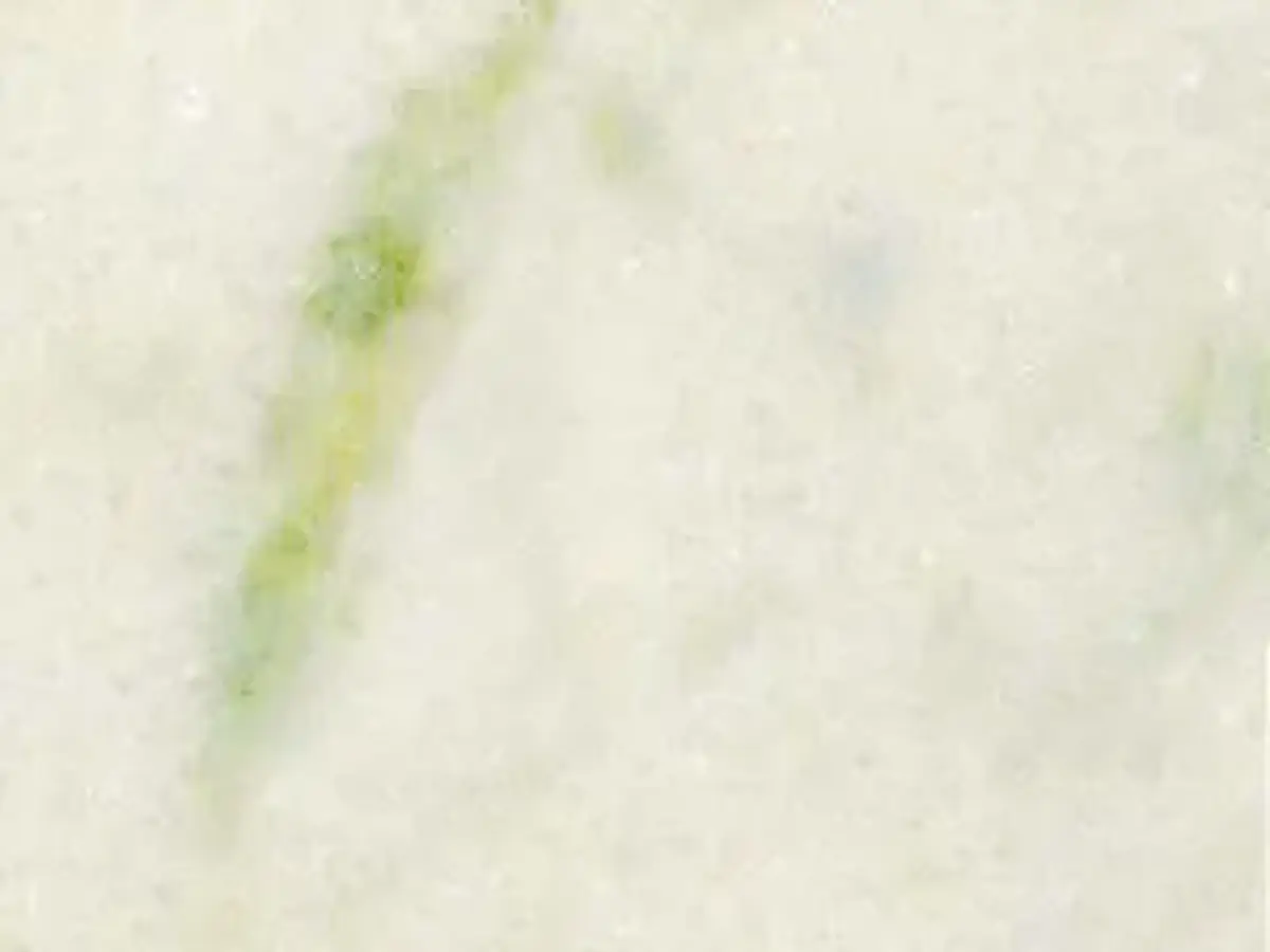 Marmore Branco Pinta Verde mármol, muestra pulida – Marmi di Carrara – marfil, blanco (1)
