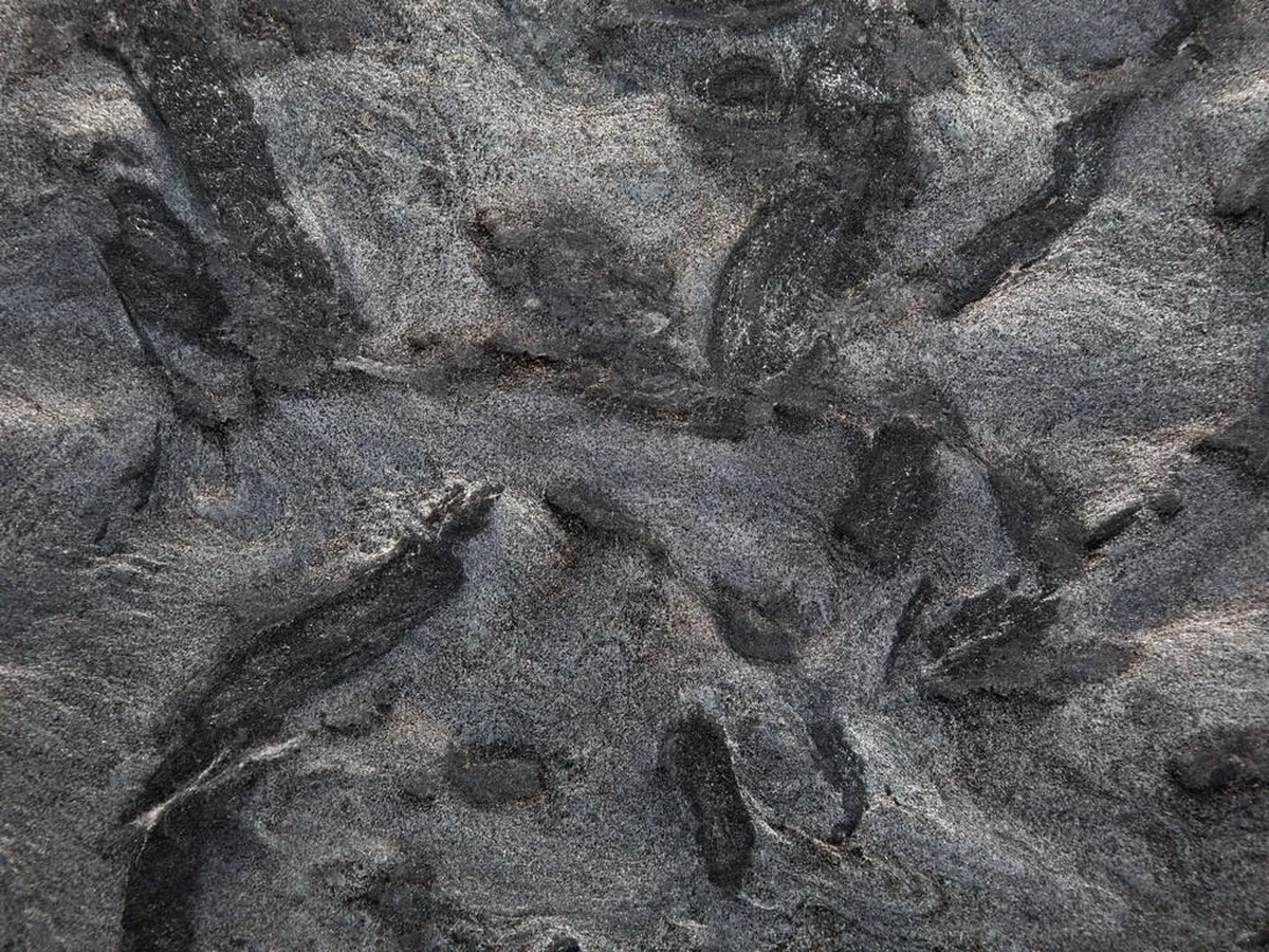 Matrix Marmor, polierte Probe – Marmi di Carrara – anthrazit, grün (2)