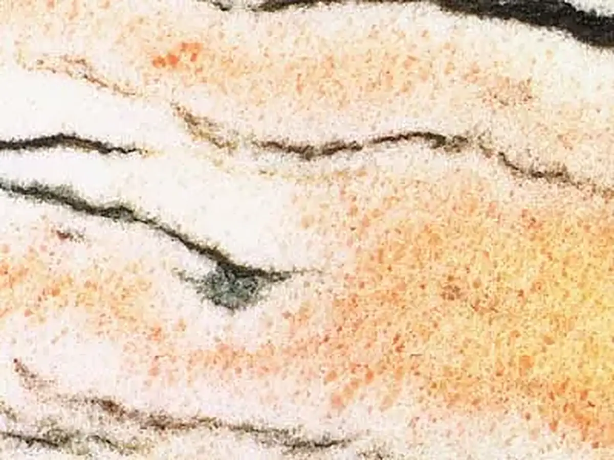 Midnight Sun marble polished sample – Marmi di Carrara – ivory, white (1)
