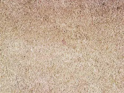Mölten arenaria, campione lucido – Marmi di Carrara – beige (1)