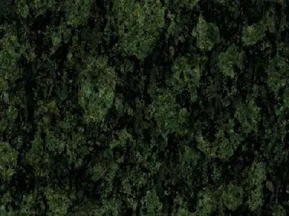 Montana Green granito, campione lucido – Marmi di Carrara – nero (1)