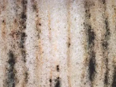 Montepuez marble polished sample – Marmi di Carrara – grey, beige (1)