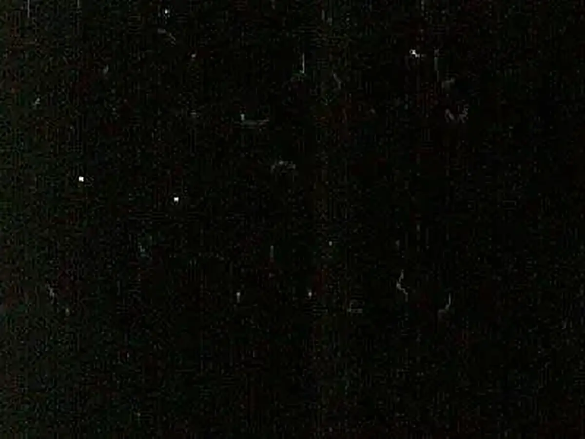 Negro Monterrey Kalkstein, polierte Probe – Marmi di Carrara – schwarz (1)