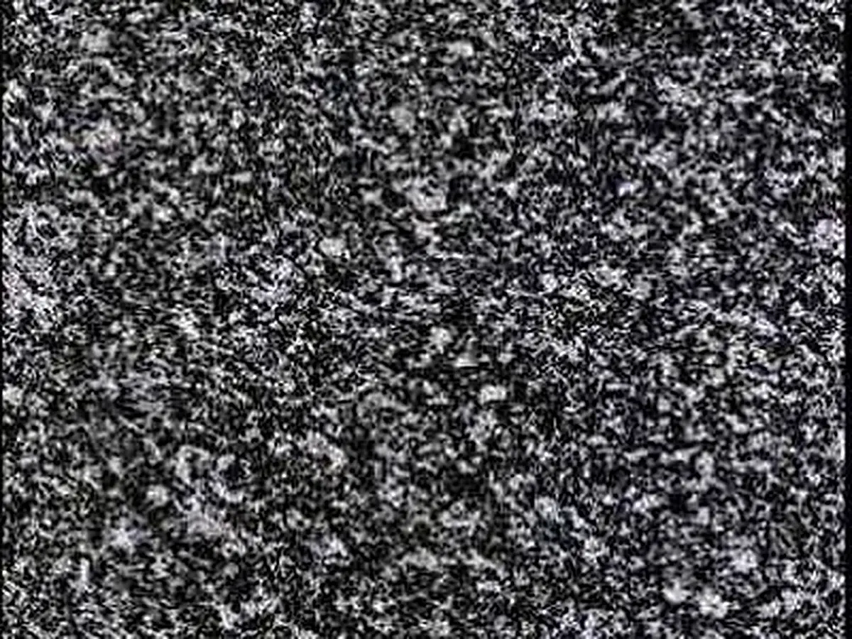 Negro Ochavo Especial granito, campione lucido – Marmi di Carrara – antracite, nero (1)