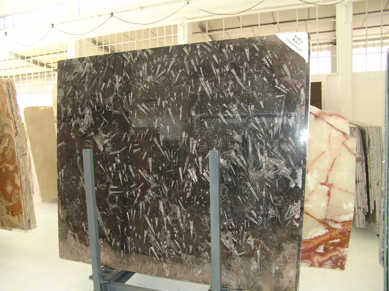 Nero Fossile mármol, superficie de losa – Marmi di Carrara – blanco, antracita (5)