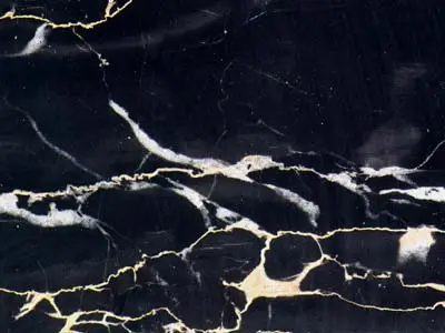 Nero Portoro limestone