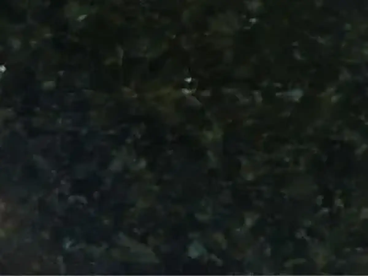 Nero Skif Granit, polierte Probe – Marmi di Carrara – schwarz (1)