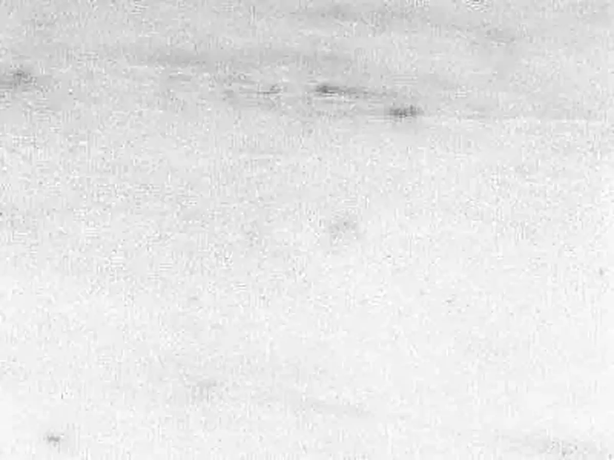 Nestos White marble polished sample – Marmi di Carrara – white, ivory (1)