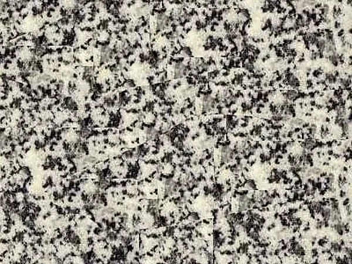 Neuhaus granite polished sample – Marmi di Carrara – grey, beige (1)
