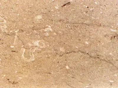 Nocciolato Chiaro limestone
