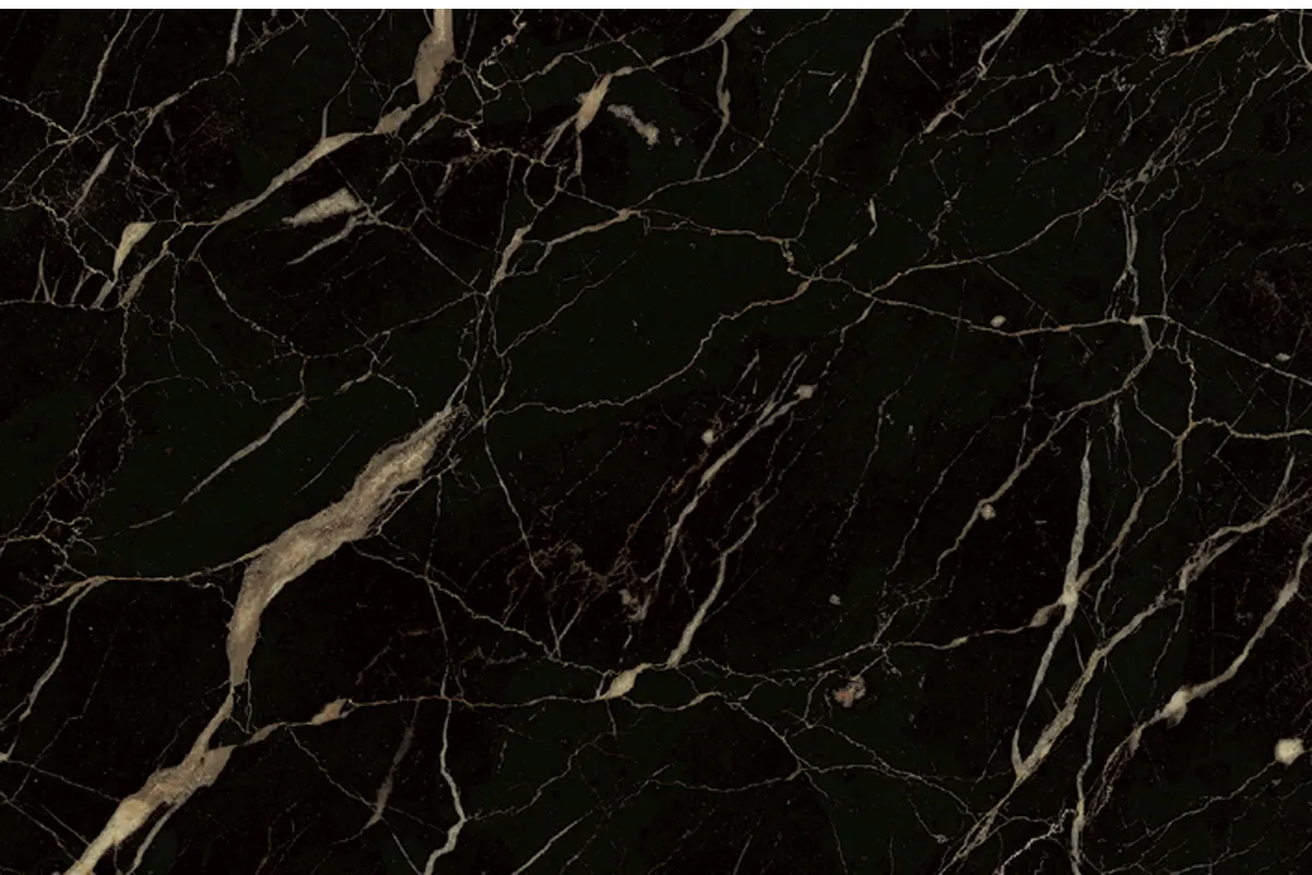 Noir Saint-laurent marble slab surface – Marmi di Carrara – black (5)