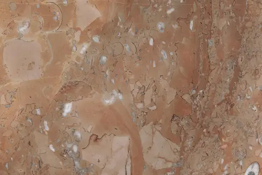 Noisette Fleury marble slab surface – Marmi di Carrara – grey, brown (1)