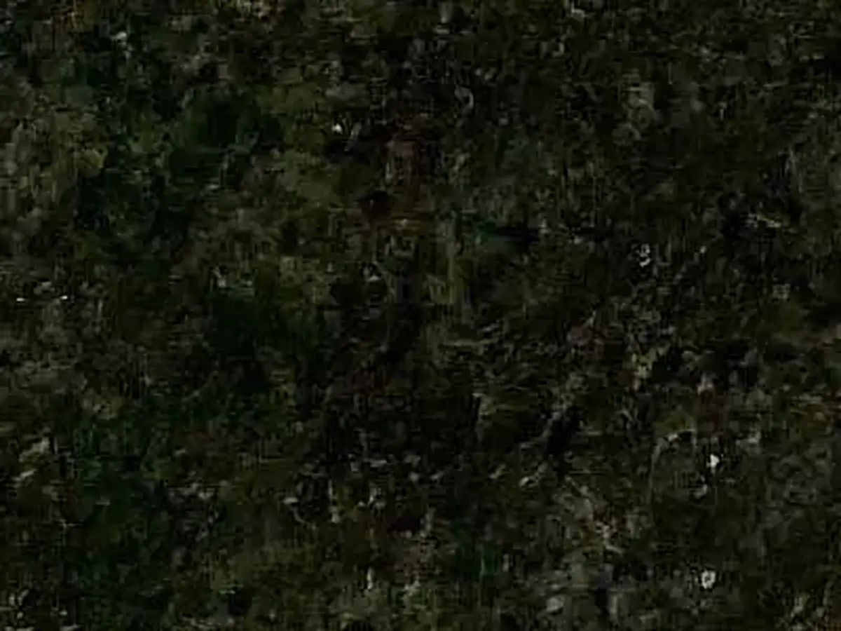 Nordic Green granite polished sample – Marmi di Carrara – black (1)