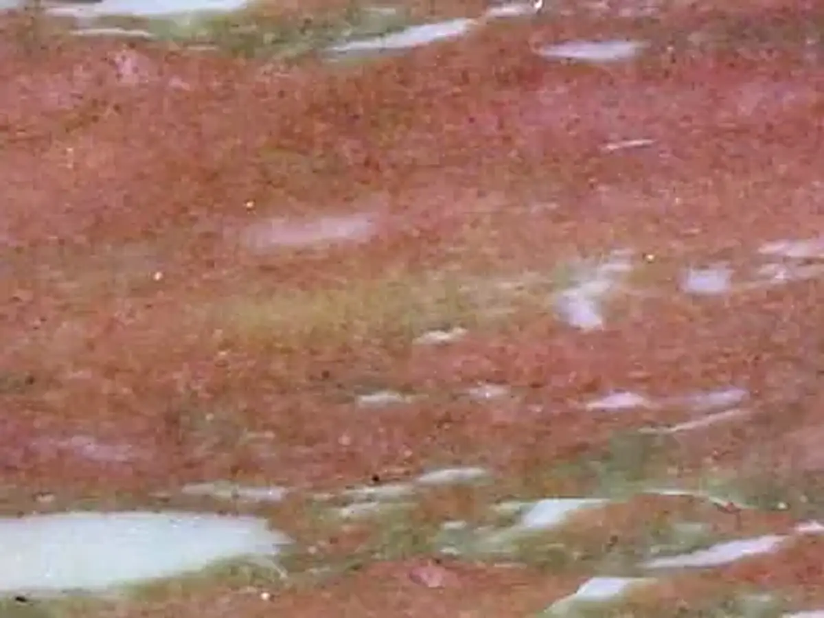 Norwegian Rose marble polished sample – Marmi di Carrara – grey, rust red (1)