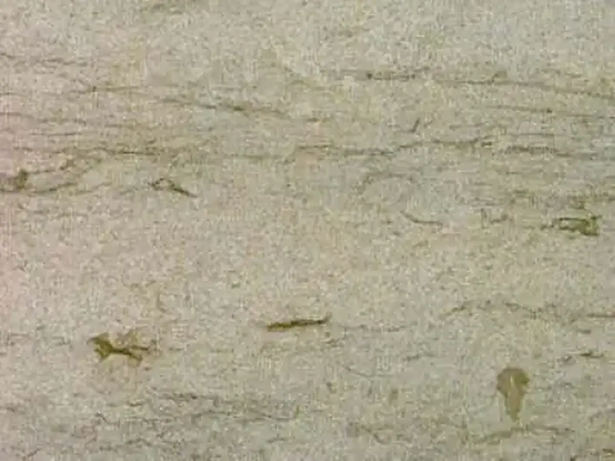 Oasis Azul limestone polished sample – Marmi di Carrara – beige, grey (1)