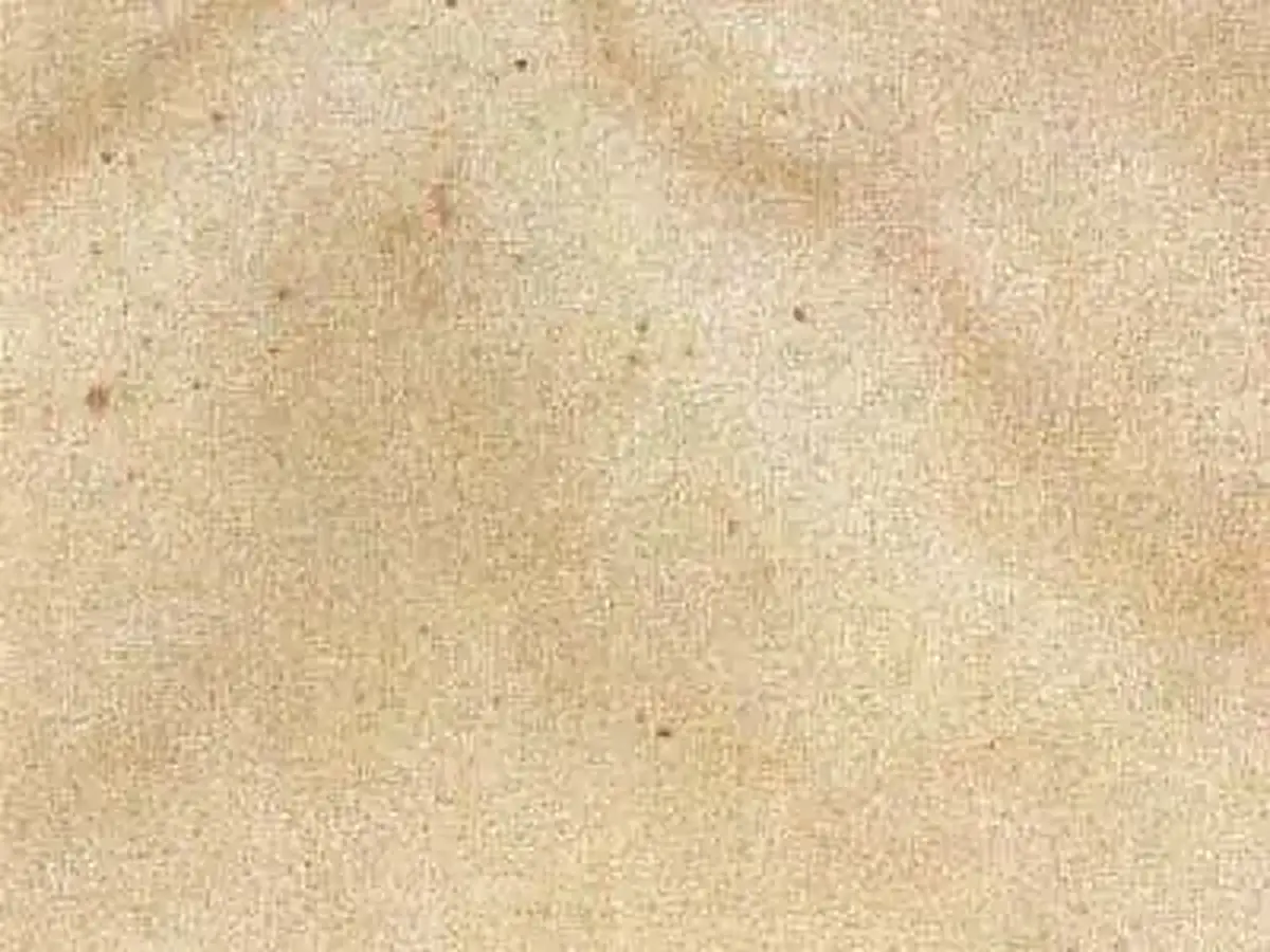 Obernkirchner Sandstein sandstone polished sample – Marmi di Carrara – beige, ivory (1)