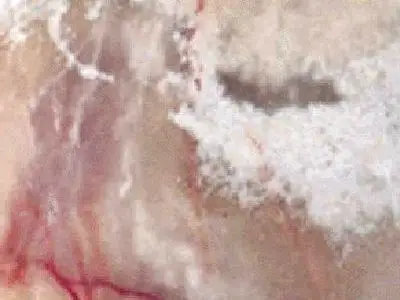 Onyx Medium marble polished sample – Marmi di Carrara – ivory, pink (1)