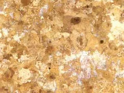 Oro Viejo limestone