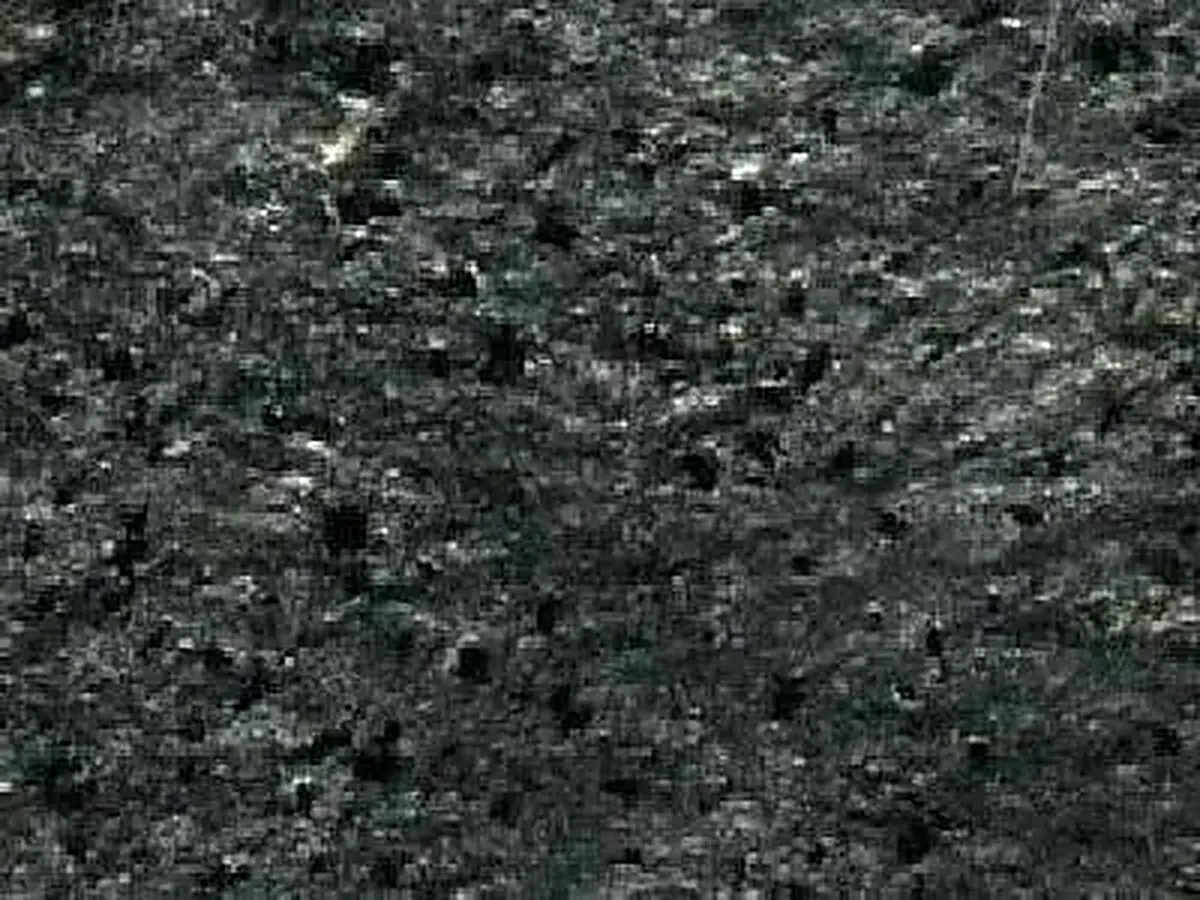 Ostrich Grey сланец, полированный образец – Marmi di Carrara – антрацитовый, чёрный (1)