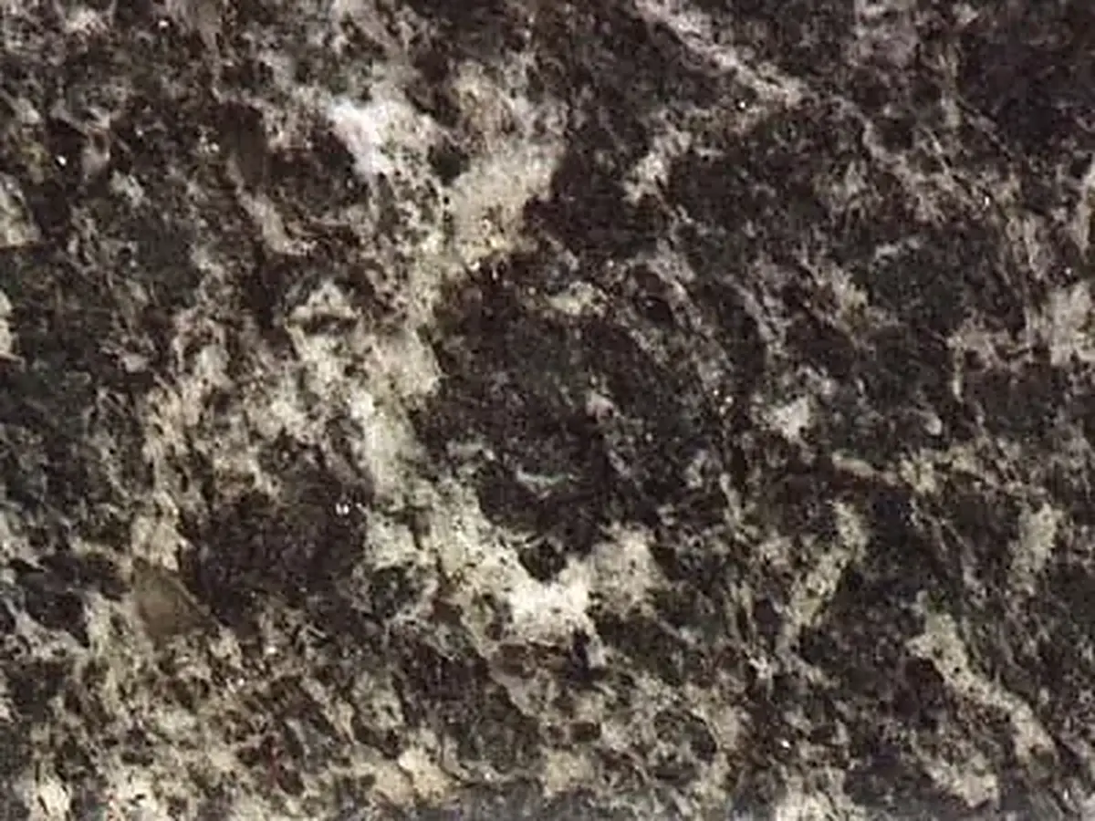 Ouincinetto granite polished sample – Marmi di Carrara – charcoal, black (1)