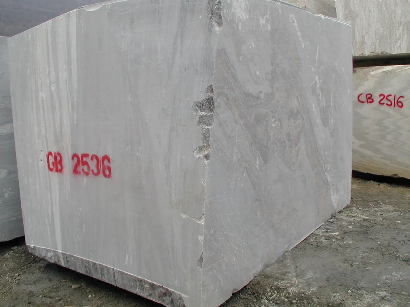 Palissandro marmo, superficie di lastra – Marmi di Carrara – grigio, grigio chiaro (2)