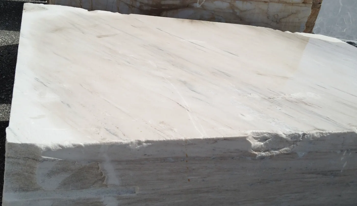 Palissandro Extra marbre, surface de dalle – Marmi di Carrara – ivoire, anthracite (8)