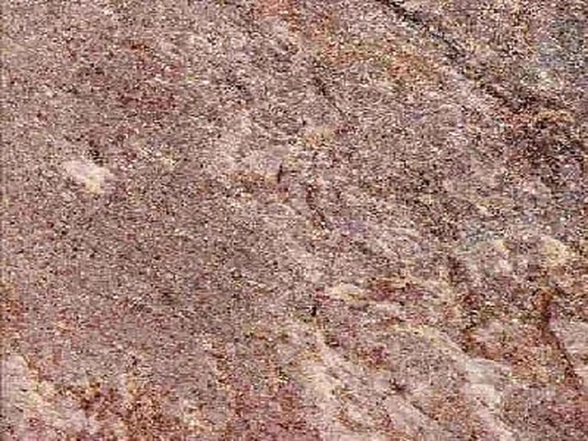 Paljakan Kvartsiitti quartzite polished sample – Marmi di Carrara – grey, pink (1)