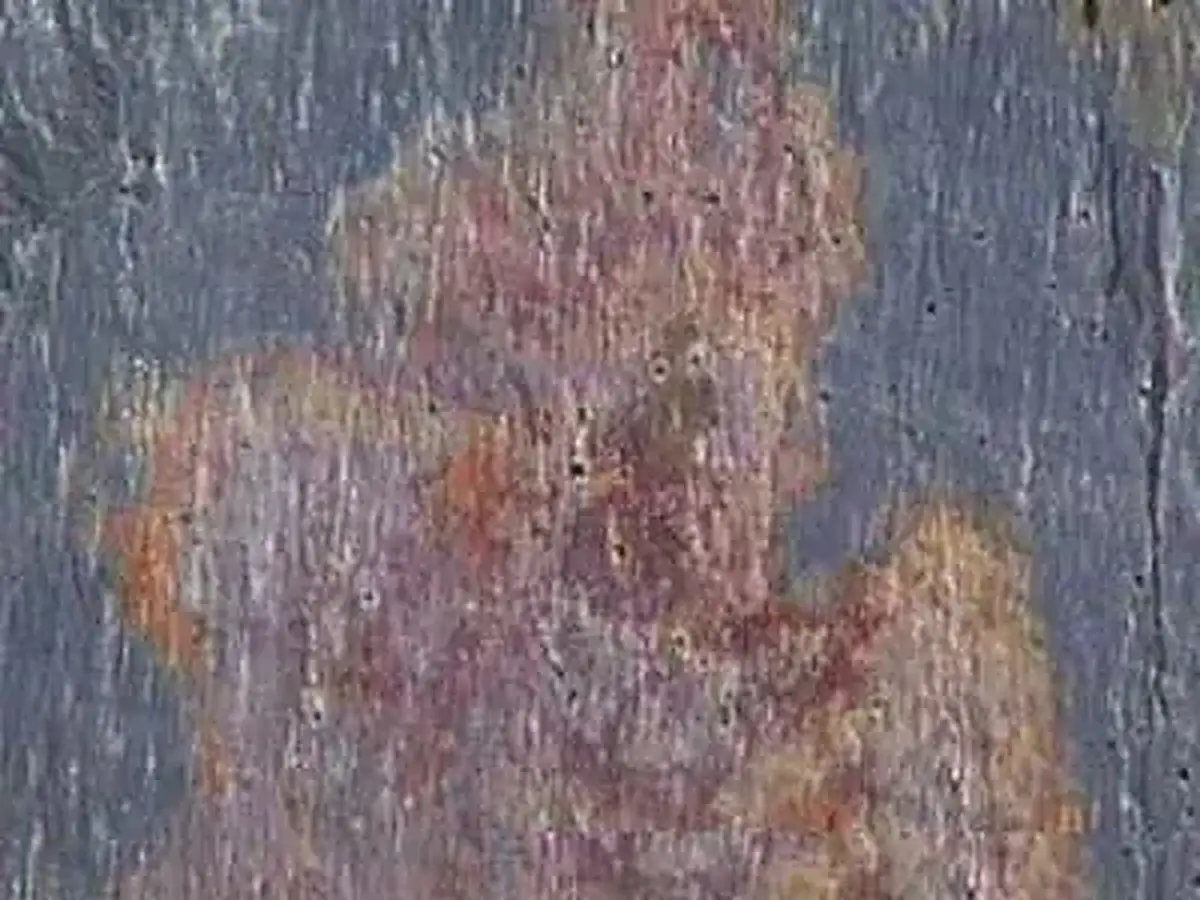 Peacock Slate ardoise, échantillon poli – Marmi di Carrara – gris, vert (1)