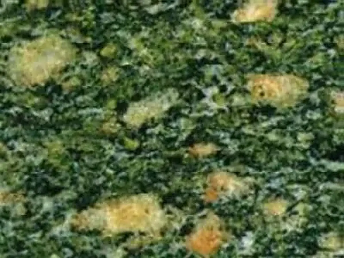 Peafowl Green G 3791 гранит, полированный образец – Marmi di Carrara – зелёный, антрацитовый (1)