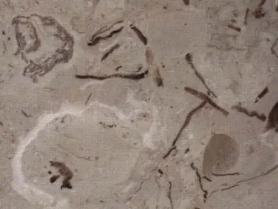 Penuela limestone polished sample – Marmi di Carrara – grey, green (1)