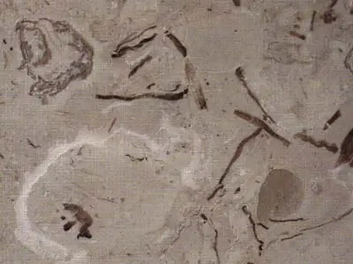 Penuela limestone polished sample – Marmi di Carrara – grey, green (1)